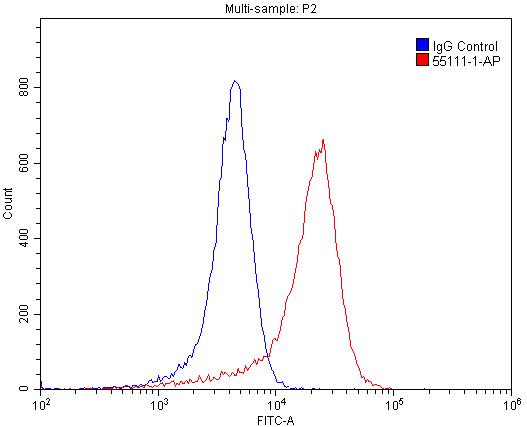 1X10^6 SH-SY5Y cells were stained with 0.2ug TRPM1 antibody (55111-1-AP, red) and control antibody (blue). Fixed with 4% PFA blocked with 3% BSA (30 min). Alexa Fluor 488-congugated AffiniPure Goat Anti-Rabbit IgG(H+L) with dilution 1:1500.