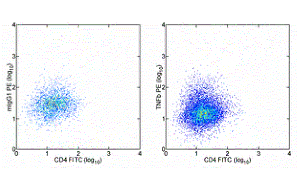 Staining of Th1-polarized normal human peripheral blood cells with CD4 antibody (FITC) followed by fixation, (PE)rmeabilization and intracellular staining with 0.125 ug of Mouse IgG1 kappa Isotype Control (PE) (left) or TNF beta antibody (PE) (right). Total viable cells were used for analysis.