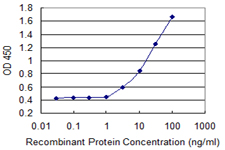 Detection limit for recombinant GST tagged ASMT is 1 ng/ml as a capture antibody.