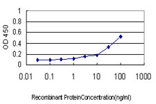 Detection limit for recombinant GST tagged ASNS is approximately 0.3 ng/ml as a capture antibody.