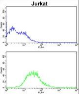 ATG14 Antibody flow cytometry of Jurkat cells (bottom histogram) compared to a negative control cell (top histogram). FITC-conjugated goat-anti-rabbit secondary antibodies were used for the analysis.