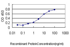 Detection limit for recombinant GST tagged ATOX1 is approximately 0.3 ng/ml as a capture antibody.