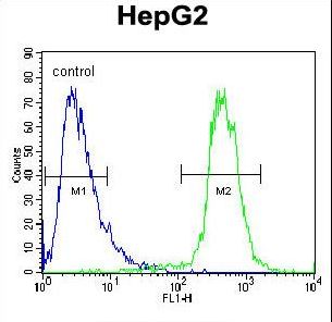 ATP13A3 Antibody flow cytometry of HepG2 cells (right histogram) compared to a negative control cell (left histogram). FITC-conjugated goat-anti-rabbit secondary antibodies were used for the analysis.