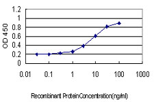 Detection limit for recombinant GST tagged ATP2B1 is approximately 0.3 ng/ml as a capture antibody.