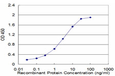 Detection limit for recombinant GST tagged ATP4B is approximately 0.1 ng/ml as a capture antibody.