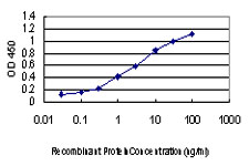 Detection limit for recombinant GST tagged ATP6V0D1 is approximately 0.1 ng/ml as a capture antibody.