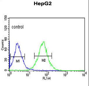 ACER3 Antibody flow cytometry of HepG2 cells (right histogram) compared to a negative control cell (left histogram). FITC-conjugated goat-anti-rabbit secondary antibodies were used for the analysis.