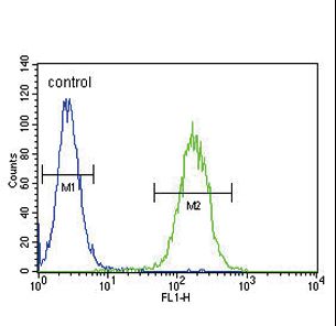 CYP11B2 Antibody flow cytometry of CEM cells (right histogram) compared to a negative control cell (left histogram). FITC-conjugated goat-anti-rabbit secondary antibodies were used for the analysis.