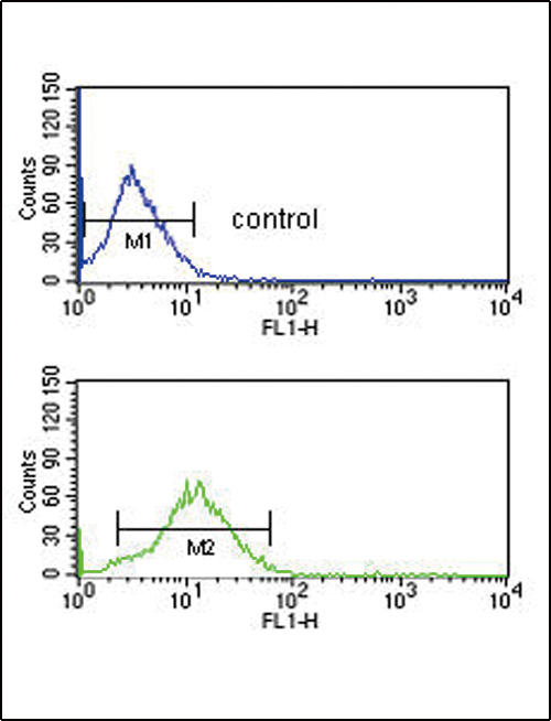 BDKRB1 Antibody flow cytometry of HepG2 cells (bottom histogram) compared to a negative control cell (top histogram). FITC-conjugated goat-anti-rabbit secondary antibodies were used for the analysis.