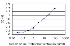 Detection limit for recombinant GST tagged B4GALNT1 is approximately 0.1 ng/ml as a capture antibody.