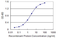 Detection limit for recombinant GST tagged AATF is 0.03 ng/ml as a capture antibody.