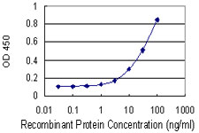 Detection limit for recombinant GST tagged BCAT1 is 1 ng/ml as a capture antibody.