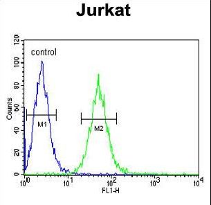 BCKDHA Antibody flow cytometry of Jurkat cells (right histogram) compared to a negative control cell (left histogram). FITC-conjugated goat-anti-rabbit secondary antibodies were used for the analysis.