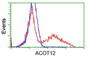 HEK293T cells transfected with either overexpress plasmid (Red) or empty vector control plasmid (Blue) were immunostained by anti-ACOT12 antibody, and then analyzed by flow cytometry.