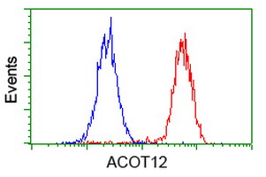 Flow cytometry of HeLa cells, using anti-ACOT12 antibody (Red), compared to a nonspecific negative control antibody (Blue).