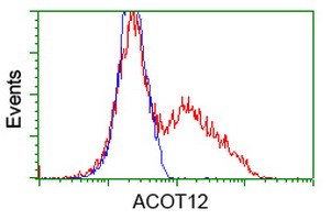 HEK293T cells transfected with either overexpress plasmid (Red) or empty vector control plasmid (Blue) were immunostained by anti-ACOT12 antibody, and then analyzed by flow cytometry.