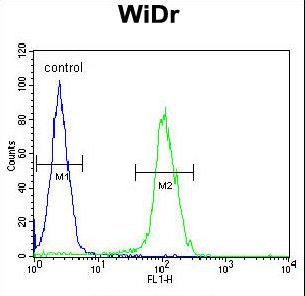 BEX1 Antibody flow cytometry of WiDr cells (right histogram) compared to a negative control cell (left histogram). FITC-conjugated goat-anti-rabbit secondary antibodies were used for the analysis.