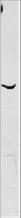 Western blot of anti-human BIVM. Whole cell HeLa lysate was used to probe for endogenous BIVM using Rabbit-anti-Human BIVM (C-terminal specific) polyclonal antibody. A 57 kD band corresponding to human BIVM protein is detected using a 1:1000 dilution of the antiserum.