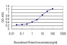 Detection limit for recombinant GST tagged PRDM1 is approximately 0.3 ng/ml as a capture antibody.