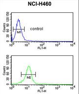 BLNK Antibody flow cytometry of NCI-H460 cells (bottom histogram) compared to a negative control cell (top histogram). FITC-conjugated goat-anti-rabbit secondary antibodies were used for the analysis.