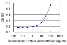 Detection limit for recombinant GST tagged MRPL1 is 1 ng/ml as a capture antibody.
