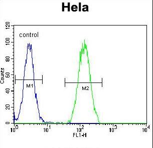 BMP2 Antibody flow cytometry of HeLa cells (right histogram) compared to a negative control cell (left histogram). FITC-conjugated goat-anti-rabbit secondary antibodies were used for the analysis.