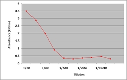 Synthetic Human BMP7 detected with Rabbit anti-Human BMP7 (LS-C41781).
