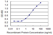 Detection limit for recombinant GST tagged BNC1 is 0.3 ng/ml as a capture antibody.