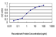 Detection limit for recombinant GST tagged BPNT1 is approximately 0.03 ng/ml as a capture antibody.