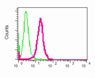 Flow cytometry of permeabilized HeLa cells using anti-BRCC36 antibody (red)or a rabbit IgG (negative) (green).