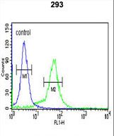 BTBD1 Antibody flow cytometry of 293 cells (right histogram) compared to a negative control cell (left histogram). FITC-conjugated goat-anti-rabbit secondary antibodies were used for the analysis.