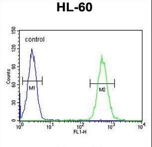 BTNL3 Antibody flow cytometry of HL-60 cells (right histogram) compared to a negative control cell (left histogram). FITC-conjugated goat-anti-rabbit secondary antibodies were used for the analysis.