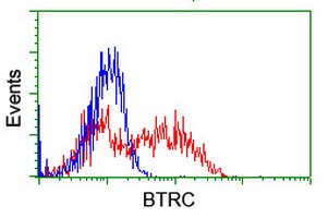 HEK293T cells transfected with either overexpress plasmid (Red) or empty vector control plasmid (Blue) were immunostained by anti-BTRC antibody, and then analyzed by flow cytometry.