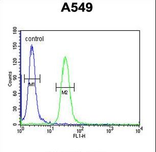 BUB1A Antibody flow cytometry of A549 cells (right histogram) compared to a negative control cell (left histogram). FITC-conjugated goat-anti-rabbit secondary antibodies were used for the analysis.
