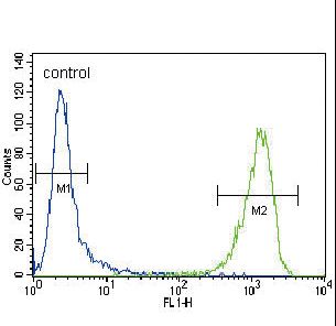 ACTA1/ alpha -actin Antibody flow cytometry of CEM cells (right histogram) compared to a negative control cell (left histogram). FITC-conjugated goat-anti-rabbit secondary antibodies were used for the analysis.
