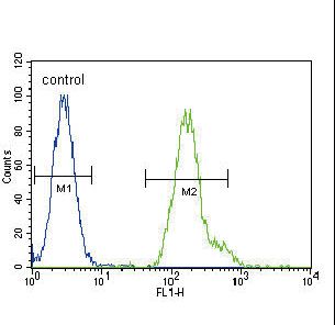 CEBPA Antibody flow cytometry of HeLa cells (right histogram) compared to a negative control cell (left histogram). FITC-conjugated goat-anti-rabbit secondary antibodies were used for the analysis.