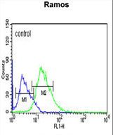 C12orf53 Antibody flow cytometry of Ramos cells (right histogram) compared to a negative control cell (left histogram). FITC-conjugated goat-anti-rabbit secondary antibodies were used for the analysis.