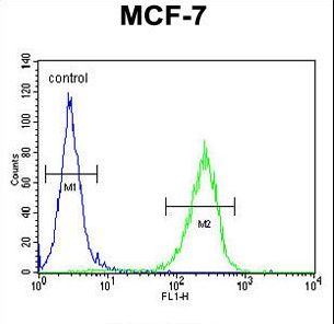CO027 Antibody flow cytometry of MCF-7 cells (right histogram) compared to a negative control cell (left histogram). FITC-conjugated goat-anti-rabbit secondary antibodies were used for the analysis.