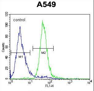 CO039 Antibody flow cytometry of A549 cells (right histogram) compared to a negative control cell (left histogram). FITC-conjugated goat-anti-rabbit secondary antibodies were used for the analysis.