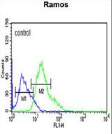 C19orf18 Antibody flow cytometry of Ramos cells (right histogram) compared to a negative control cell (left histogram). FITC-conjugated goat-anti-rabbit secondary antibodies were used for the analysis.