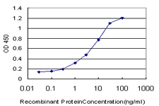 Detection limit for recombinant GST tagged C1D is approximately 0.1 ng/ml as a capture antibody.