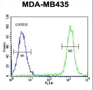 CA026 Antibody flow cytometry of MDA-MB435 cells (right histogram) compared to a negative control cell (left histogram). FITC-conjugated goat-anti-rabbit secondary antibodies were used for the analysis.