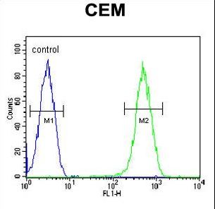 CRCT1 Antibody flow cytometry of CEM cells (right histogram) compared to a negative control cell (left histogram). FITC-conjugated goat-anti-rabbit secondary antibodies were used for the analysis.
