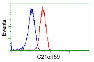 Flow cytometry of Jurkat cells, using anti-C21orf59 antibody (Red), compared to a nonspecific negative control antibody (Blue).