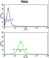 C2orf49 Antibody flow cytometry of HeLa cells (bottom histogram) compared to a negative control cell (top histogram). FITC-conjugated goat-anti-rabbit secondary antibodies were used for the analysis.