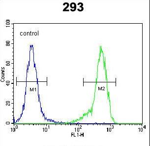 C4orf31 Antibody flow cytometry of 293 cells (right histogram) compared to a negative control cell (left histogram). FITC-conjugated goat-anti-rabbit secondary antibodies were used for the analysis.