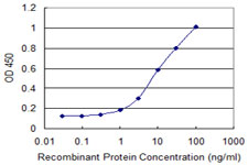 Detection limit for recombinant GST tagged C4orf43 is 0.3 ng/ml as a capture antibody.