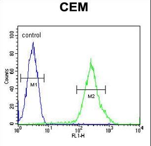 RCL Antibody flow cytometry of CEM cells (right histogram) compared to a negative control cell (left histogram). FITC-conjugated goat-anti-rabbit secondary antibodies were used for the analysis.