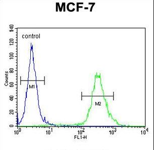 CI150 Antibody flow cytometry of MCF-7 cells (right histogram) compared to a negative control cell (left histogram). FITC-conjugated goat-anti-rabbit secondary antibodies were used for the analysis.