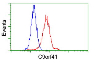 Flow cytometry of HeLa cells, using anti-C9orf41 antibody (Red), compared to a nonspecific negative control antibody (Blue).